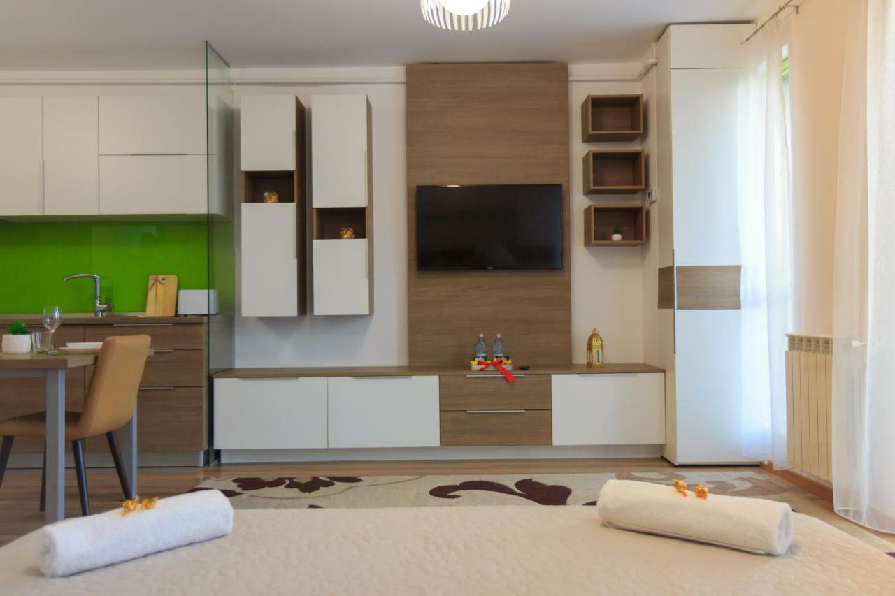 Gold Class Apartment Ams 63 クルージュ＝ナポカ エクステリア 写真